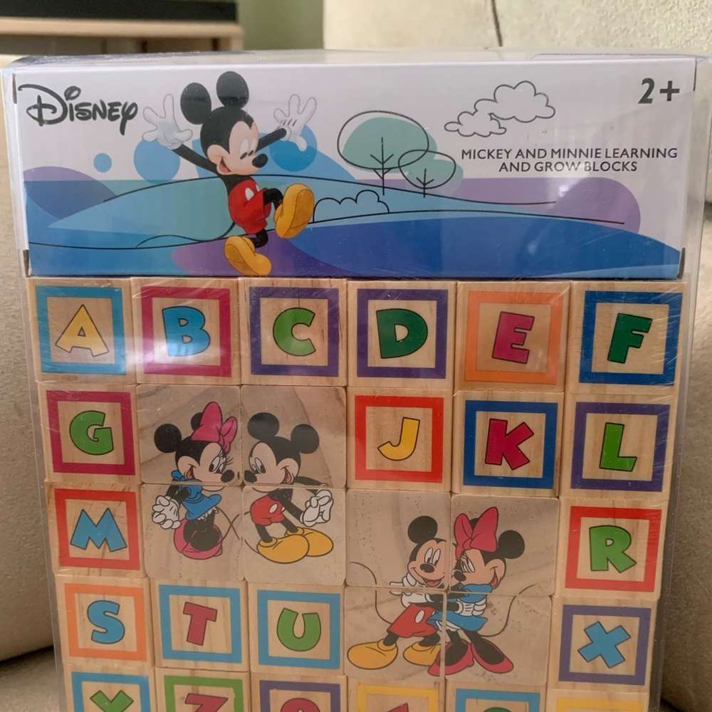Mickey & Minnie learn and grow blocks